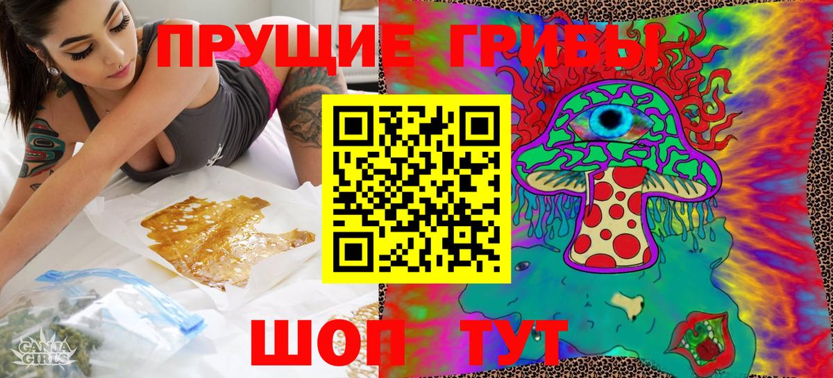 Галлюциногенные грибы Psilocybine cubensis Дедовск