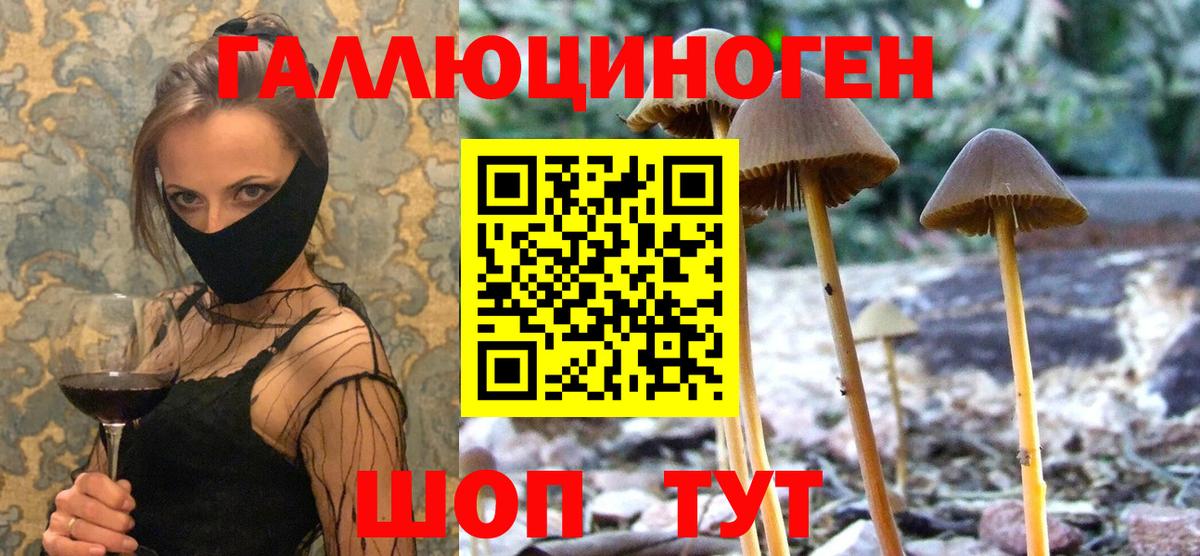 купить  цена  Вход с VPN  Галлюциногенные грибы прущие грибы  Дедовск  Галлюциногенные грибы мицелий 